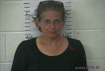 Lisa J Setser Mugshot