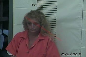 Lisa Kay Shoemaker Mugshot