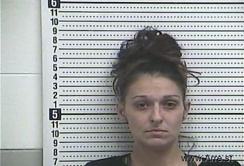 Lisa A Smith Mugshot