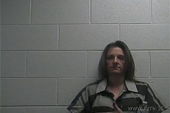 Lisa  Spencer Mugshot