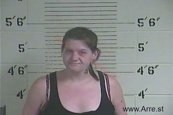 Lisa H. Spicer Mugshot