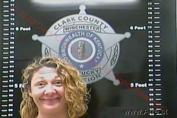 Lisa Melinda Turner Mugshot