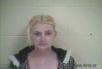 Lisa M Walls Mugshot