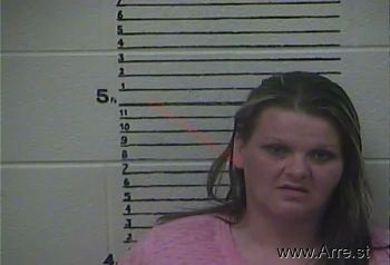 Lisa  Warner Mugshot