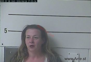 Lisa  Washburn Mugshot