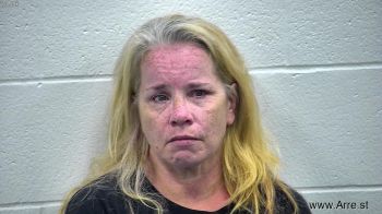 Lisa Renee Webb Mugshot