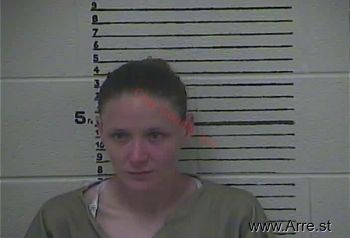 Lisa  Whitehead Mugshot