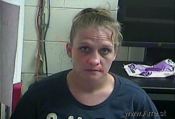 Lisa R Williams Mugshot