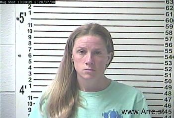 Lisa Caley Williams Mugshot