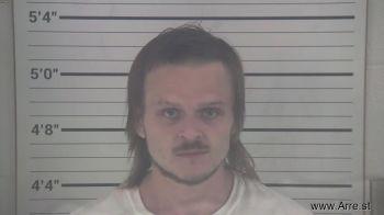 Logan Anthony Bowman Mugshot