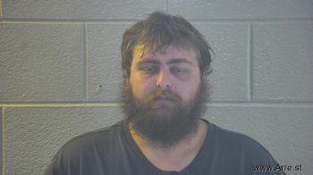 Logan Wayne Johnson Mugshot