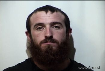 Logan Tyler Willis Mugshot