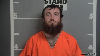 Logan Tyler Willis Mugshot