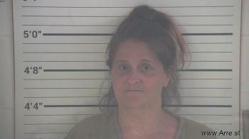 Lori Ann Bowman Mugshot