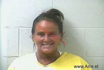 Lori Deanna Johnson Mugshot