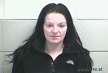 Lori J Palmer Mugshot