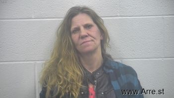 Lori Ann Wilson Mugshot