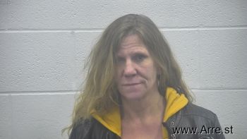 Lori Ann Wilson Mugshot