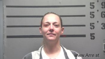 Lori Ann Young Mugshot