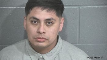 Luis Fernando Rojas Reyes Mugshot