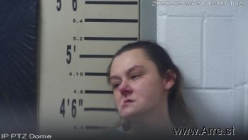 Lyndsey M Nickoson Mugshot