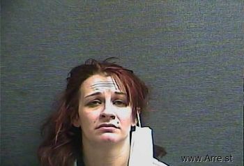 Leslie Michelle Collins Mugshot