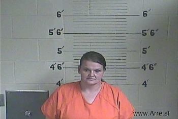 Lisa M Warner Mugshot