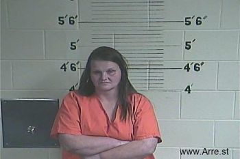 Lisa Michelle Warner Mugshot