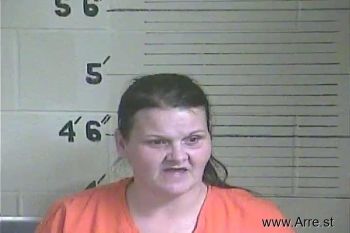 Lisa Michelle Warner Mugshot