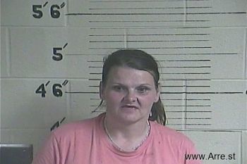 Lisa Michelle Warner Mugshot