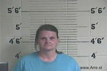 Lisa Michelle Warner Mugshot