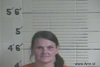 Lisa M. Warner Mugshot