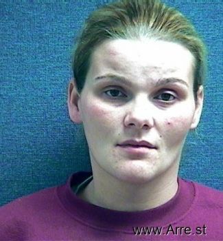 Lisa Michelle Warner Mugshot