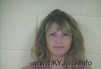 Lorrie Brandon Bush   Mugshot