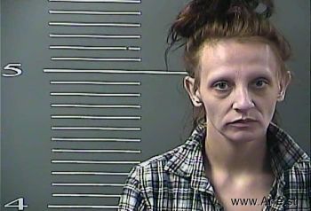 Machelle Lee Blevins Mugshot