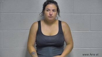 Mandy Lynn Hollandsworth Mugshot