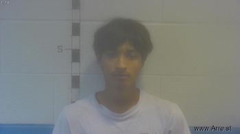 Manuel Alexander Alvarado Dubon Mugshot