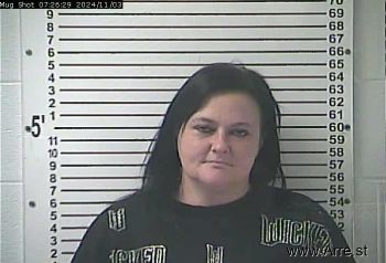 Marie Frances Nelson Mugshot