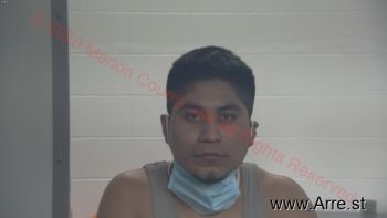 Marios M Diaz Mugshot