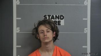 Mark Lee Langston Mugshot