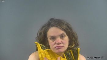 Marti Ann Abrams Mugshot