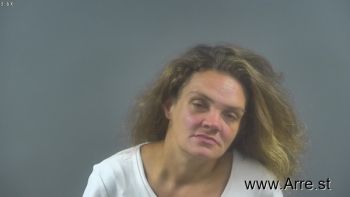 Marti Ann Abrams Mugshot