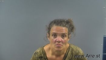 Marti Ann Abrams Mugshot