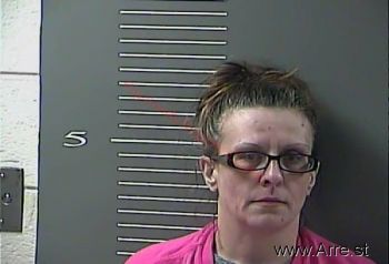 Mary Sue Holliday Mugshot