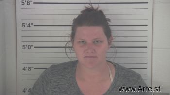 Mary Elizabeth Johnson Mugshot