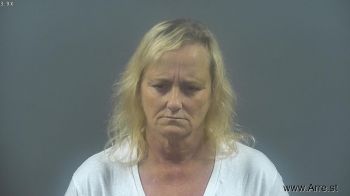 Mary Elizabeth Johnson Mugshot