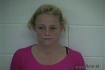 Mary Lou Mckinney Mugshot