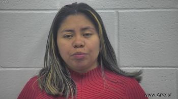 Mayra Nmi Ramirez Vasquez Mugshot