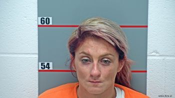 Meagan Memory Hayes Mugshot