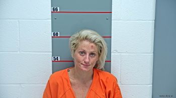 Meagan Memory Hayes Mugshot